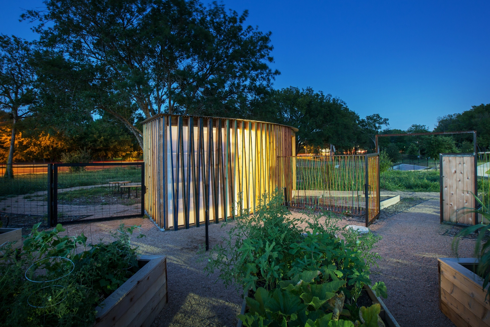 YMCA COMMUNITY GARDEN